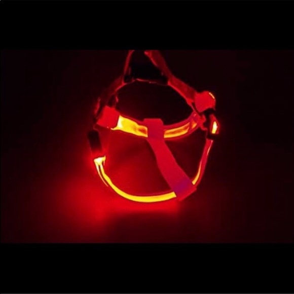 💡 LED Dog Leash and Harness Set Red - Picture 5 of 10
